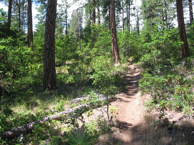 7.30.06 Coyote Wall, Labyrinth 018 